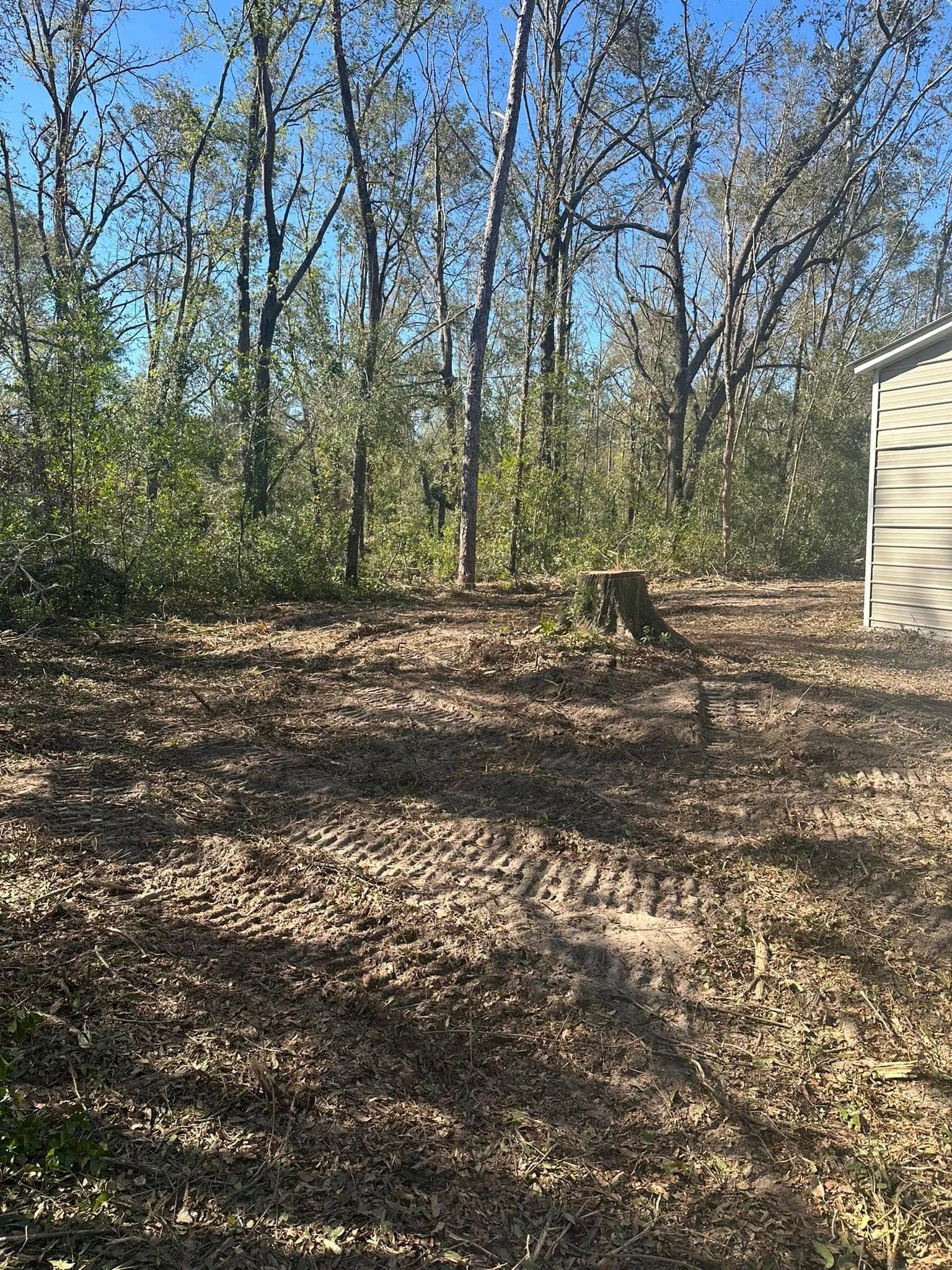 A shed in the middle of a forest with trees in the background.