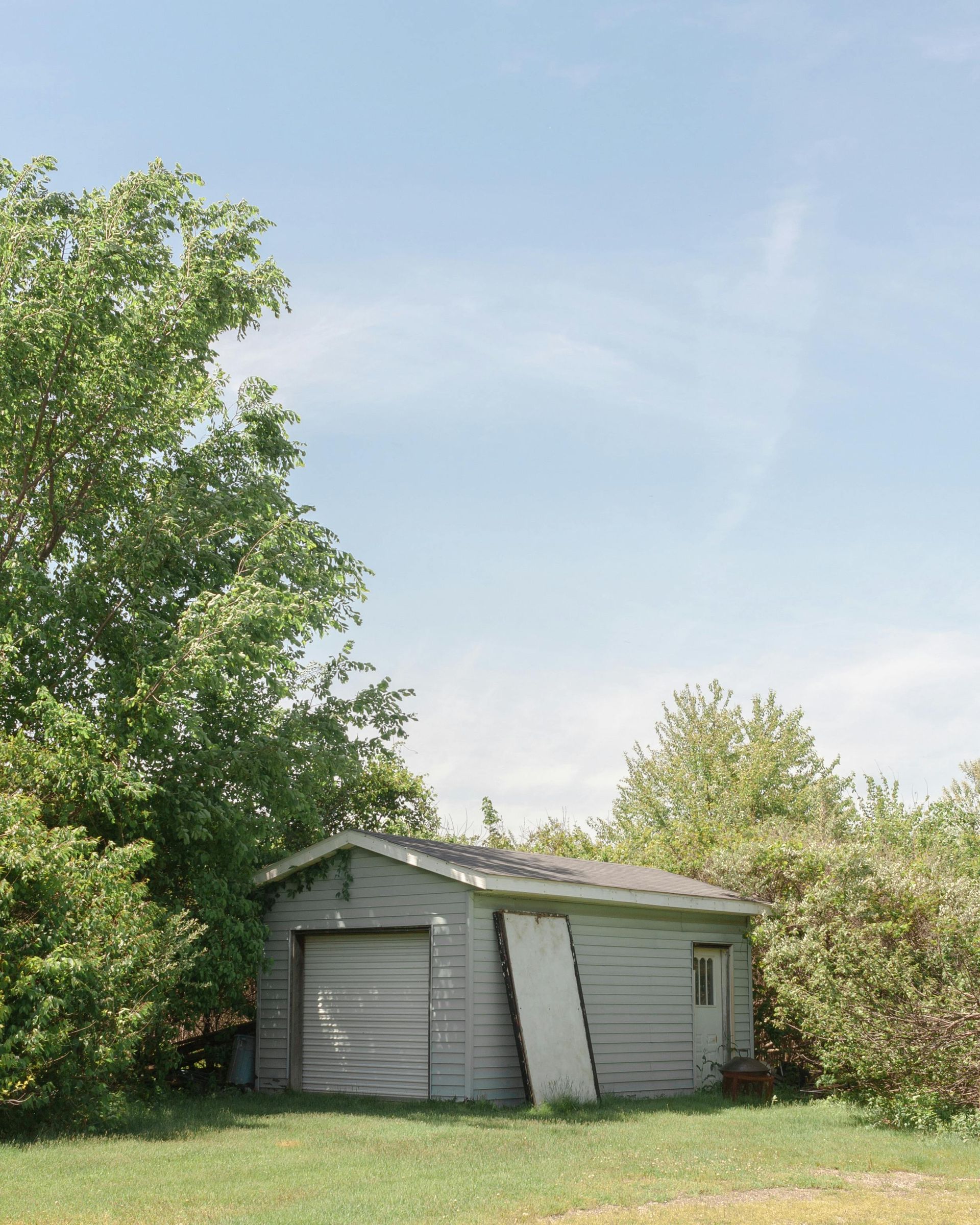 A shed in the middle of a forest with trees in the background.