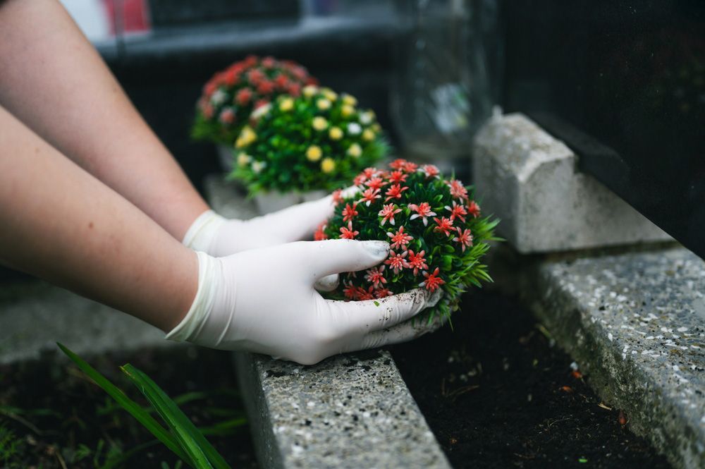 Person Wearing White Gloves Is Planting Flowers On A Grave — Northern Rivers Headstones in Tenterfield, NSW