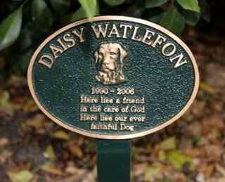 A Memorial Plaque For A Dog Named Daisy Watlefon — Northern Rivers Headstones in Casino NSW