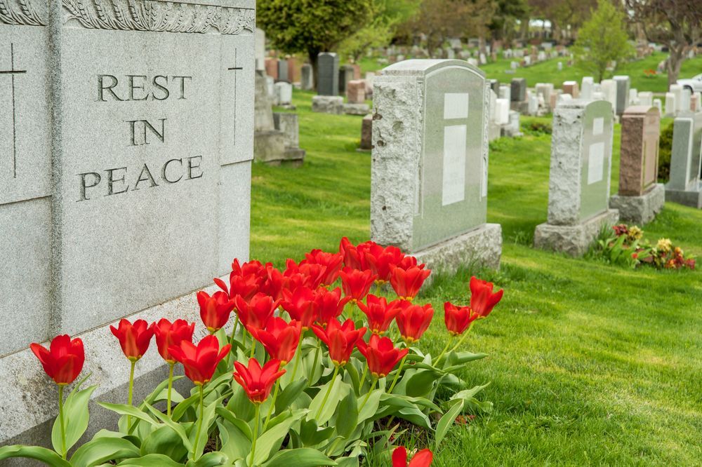 Cemetery with a Gravestone and Red Tulips