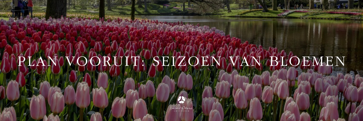 Field of pink and red tulips with text 