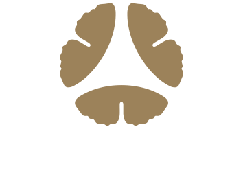 Three tan ginkgo leaves forming a triangular shape.