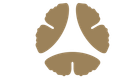Three light-brown, stylized ginkgo leaves arranged in a triangle on a white background.