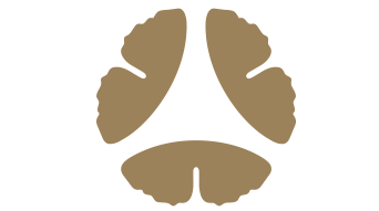 Three stylized, gold ginkgo leaves form a triangular shape.