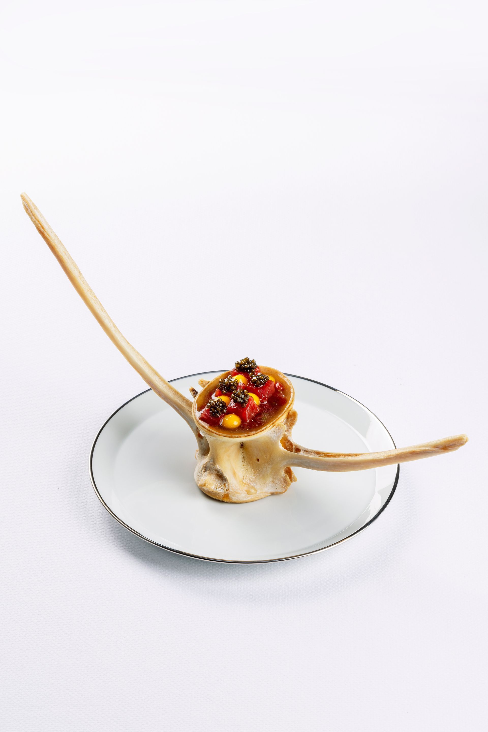 A bone spine with a dish of colorful food on a white plate.