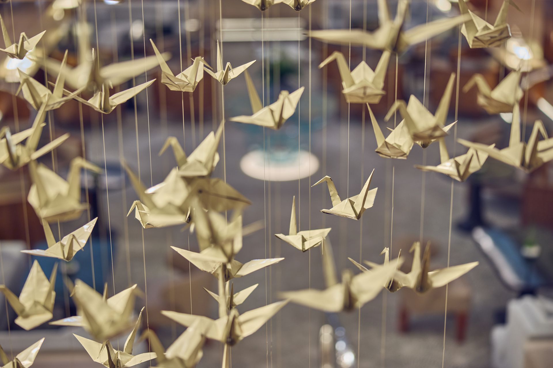 Origami cranes suspended from strings, in an indoor setting.