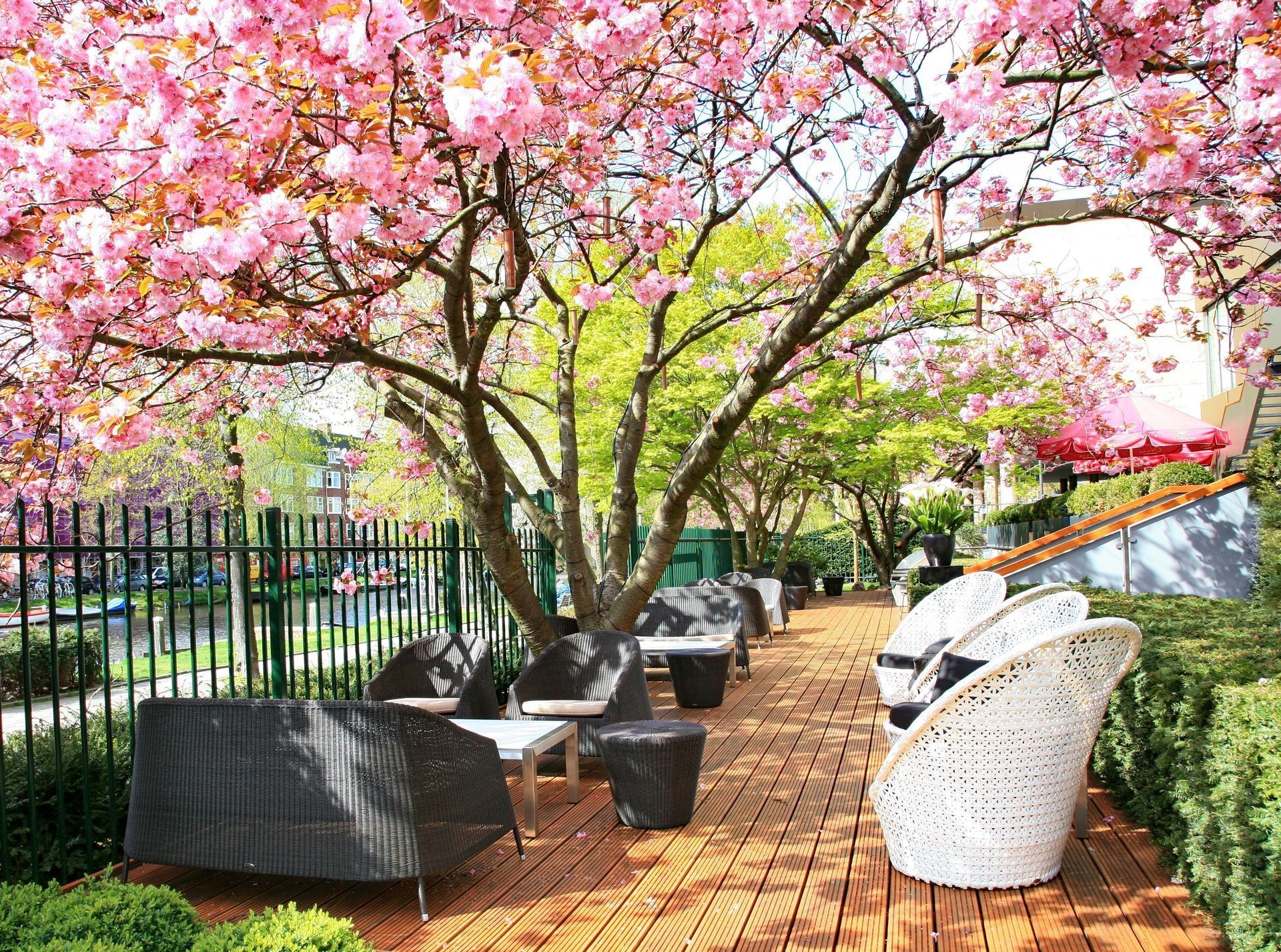 Person receiving back massage, oil being poured on sponge, spa setting.