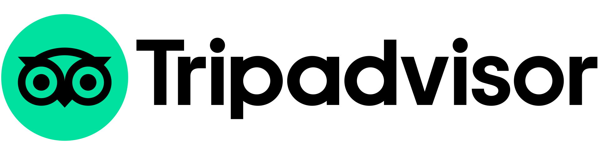 Tripadvisor logo: Green owl icon in a circle, black text
