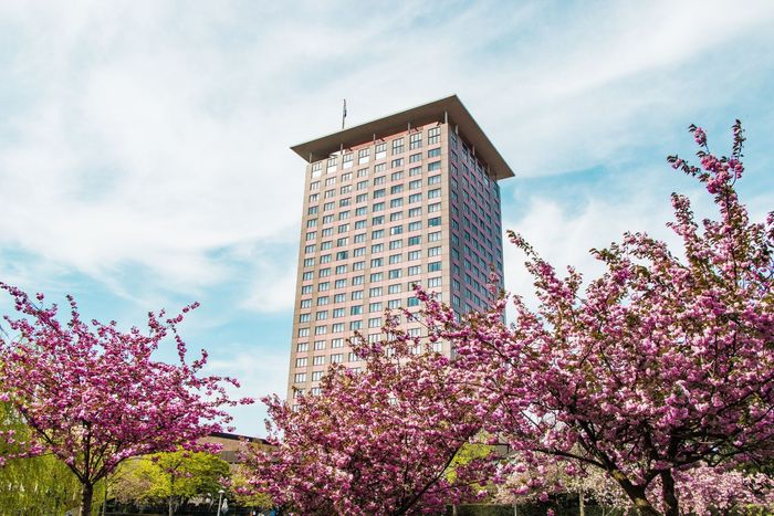 A boat on a river in front of a tall building framed by lush green foliage and flowers.
