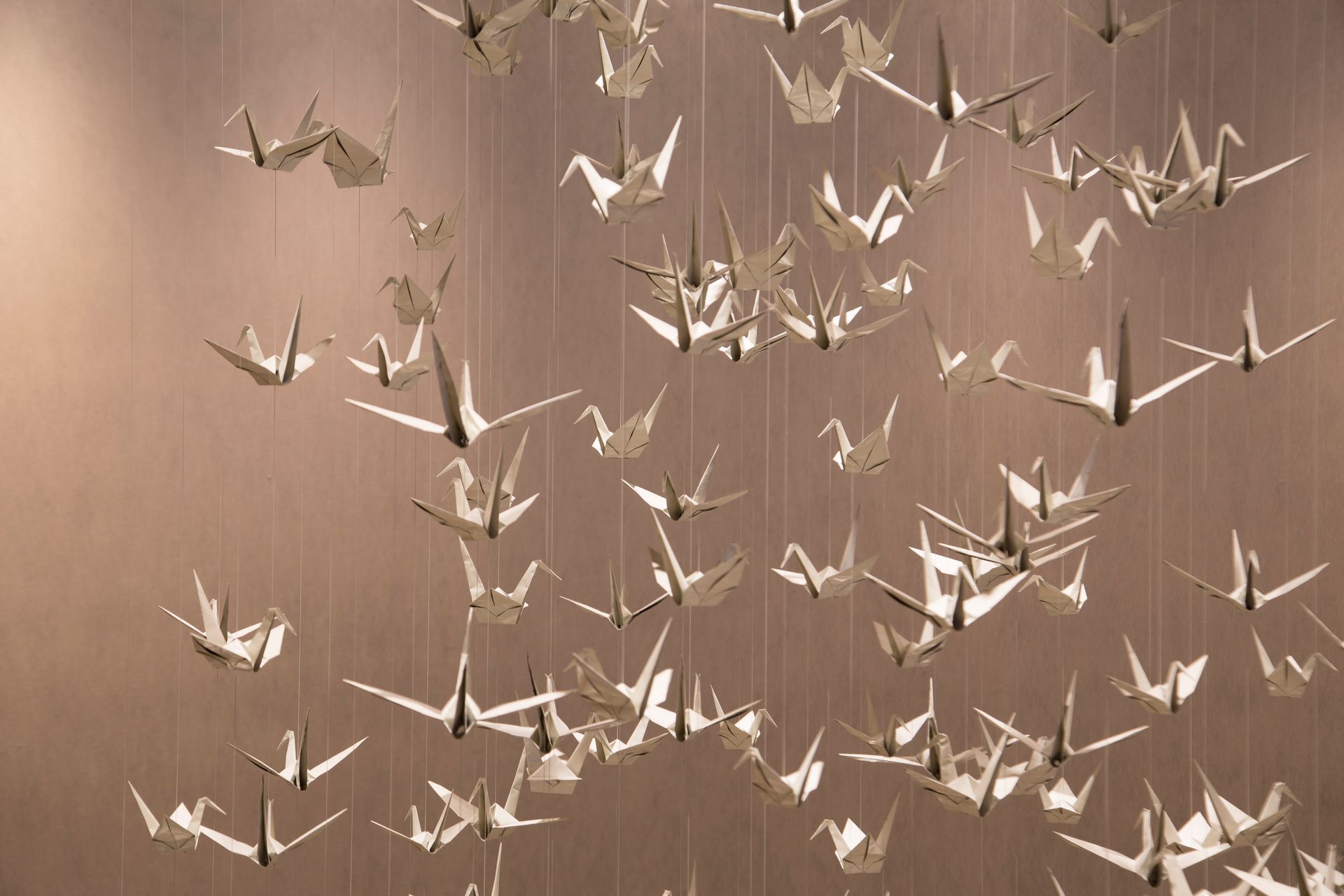 White origami cranes hanging against a light brown background.