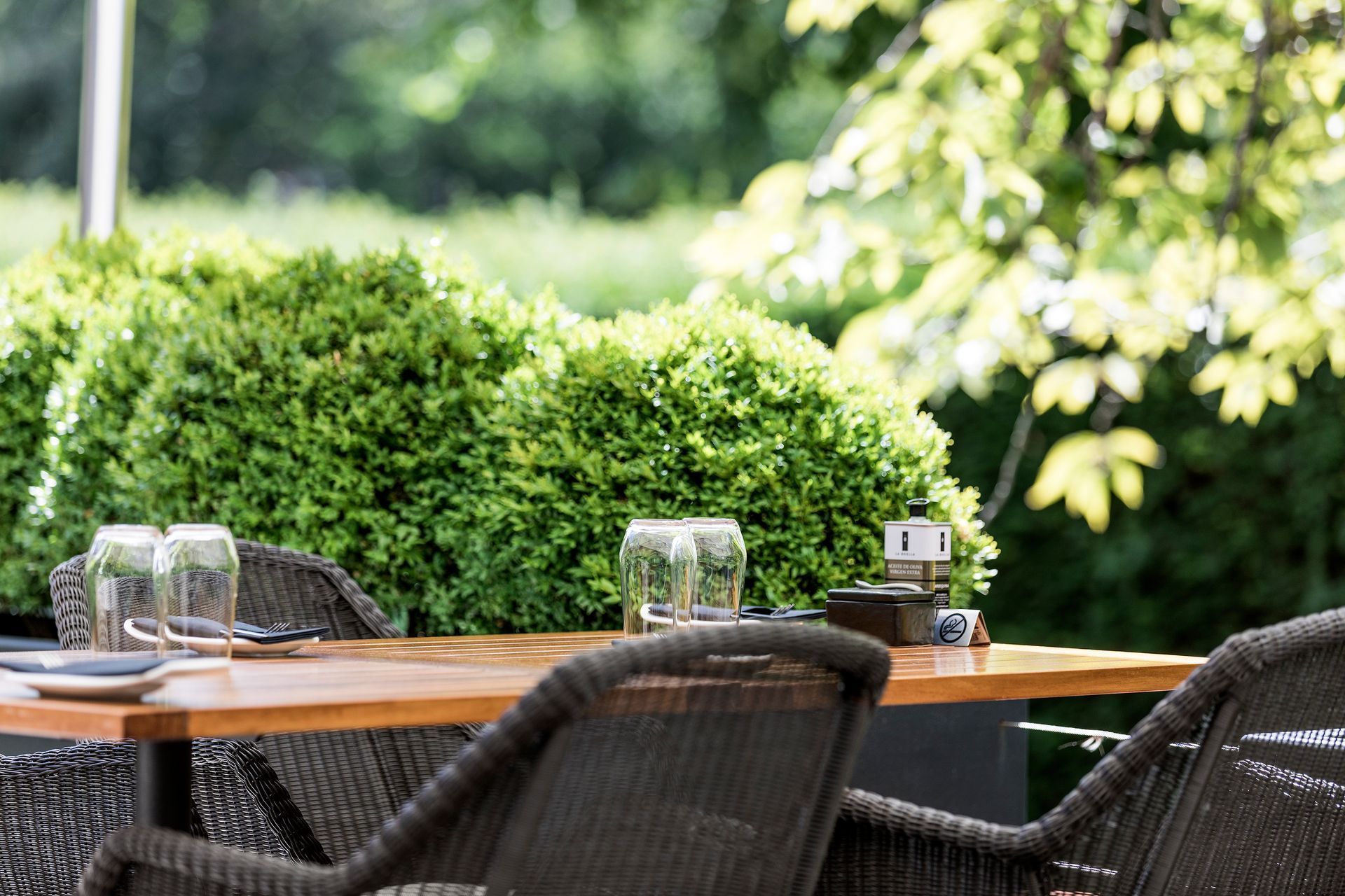 Outdoor dining table set with glasses and chairs, green bushes in background.