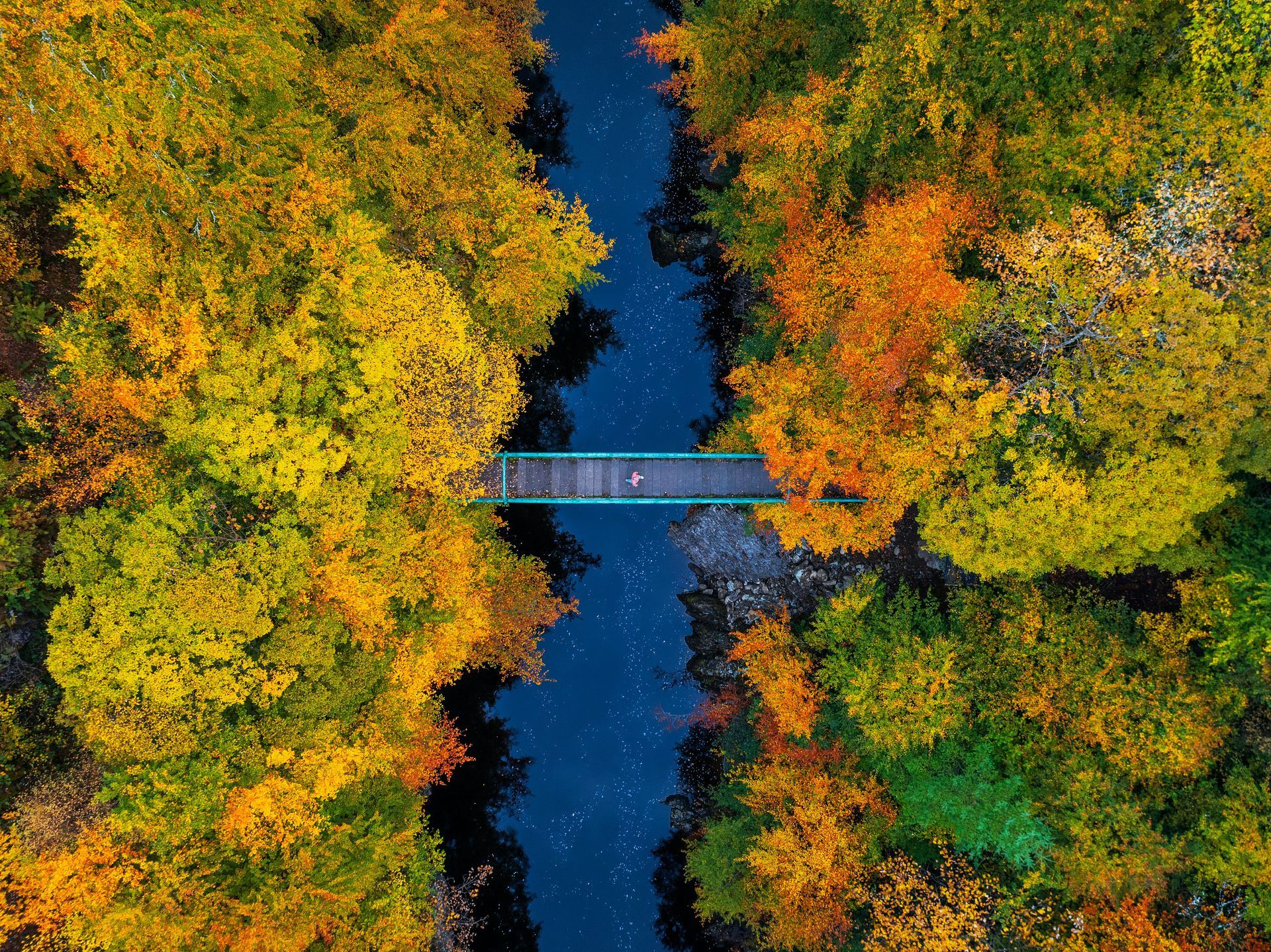 Aerial view: a bridge over a dark blue river framed by trees in autumn colors; yellow, orange, and green.