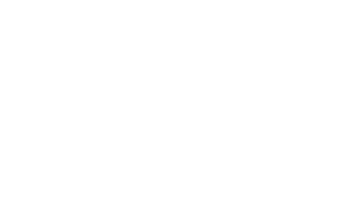 Shared Vision Battle Flag