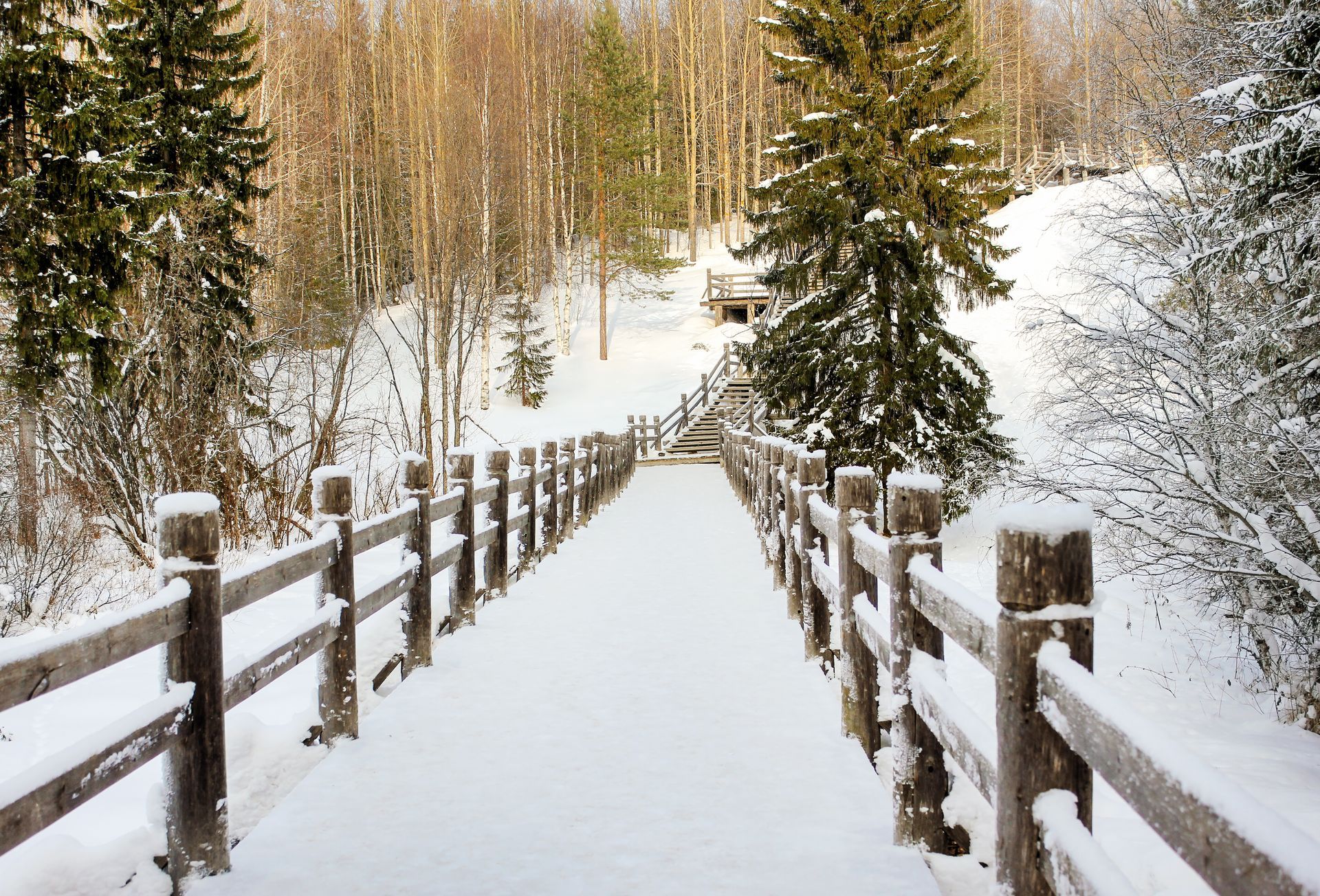 A wooden fence surrounds a snowy path in the woods.