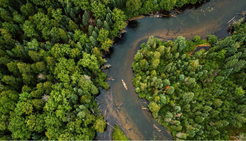 An aerial view of a river surrounded by trees.