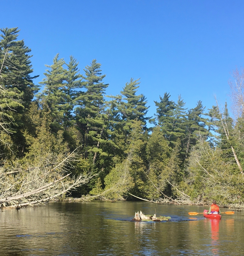 A person in a red kayak is paddling down a river