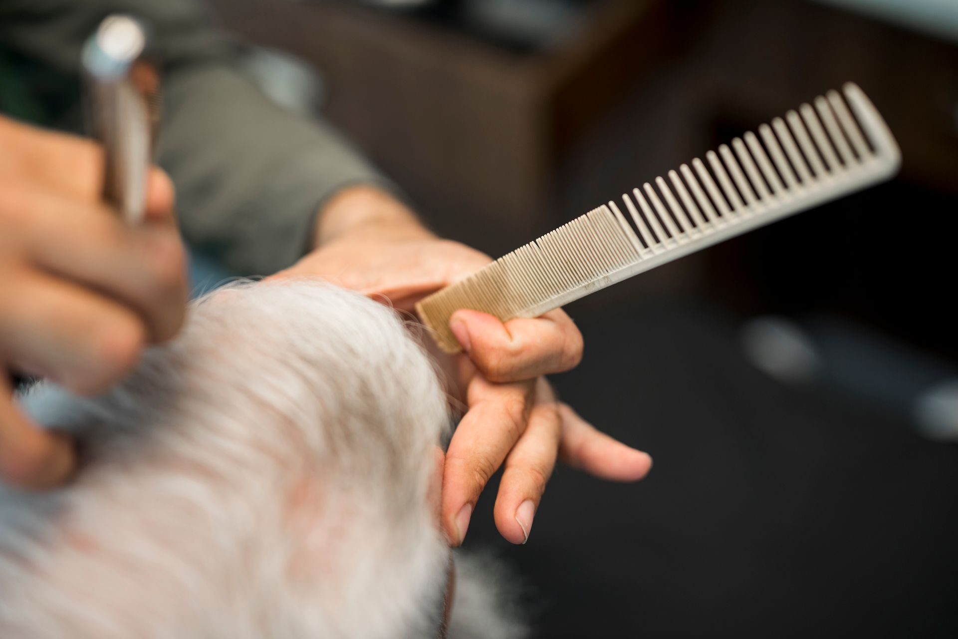 A person is combing a dog 's hair with a comb.