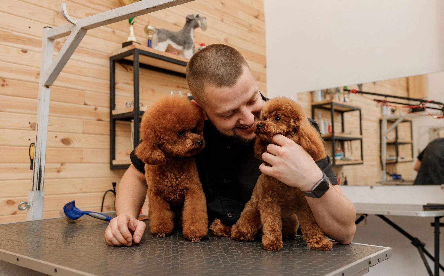 A man is petting two small brown dogs on a table.