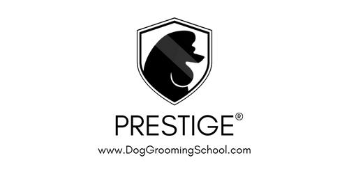 Prestige Dog Grooming School Business Logo