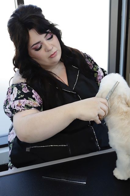 A woman is grooming a small white dog with a comb