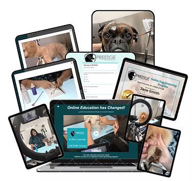 A laptop computer surrounded by a bunch of pictures of dogs and a certificate.