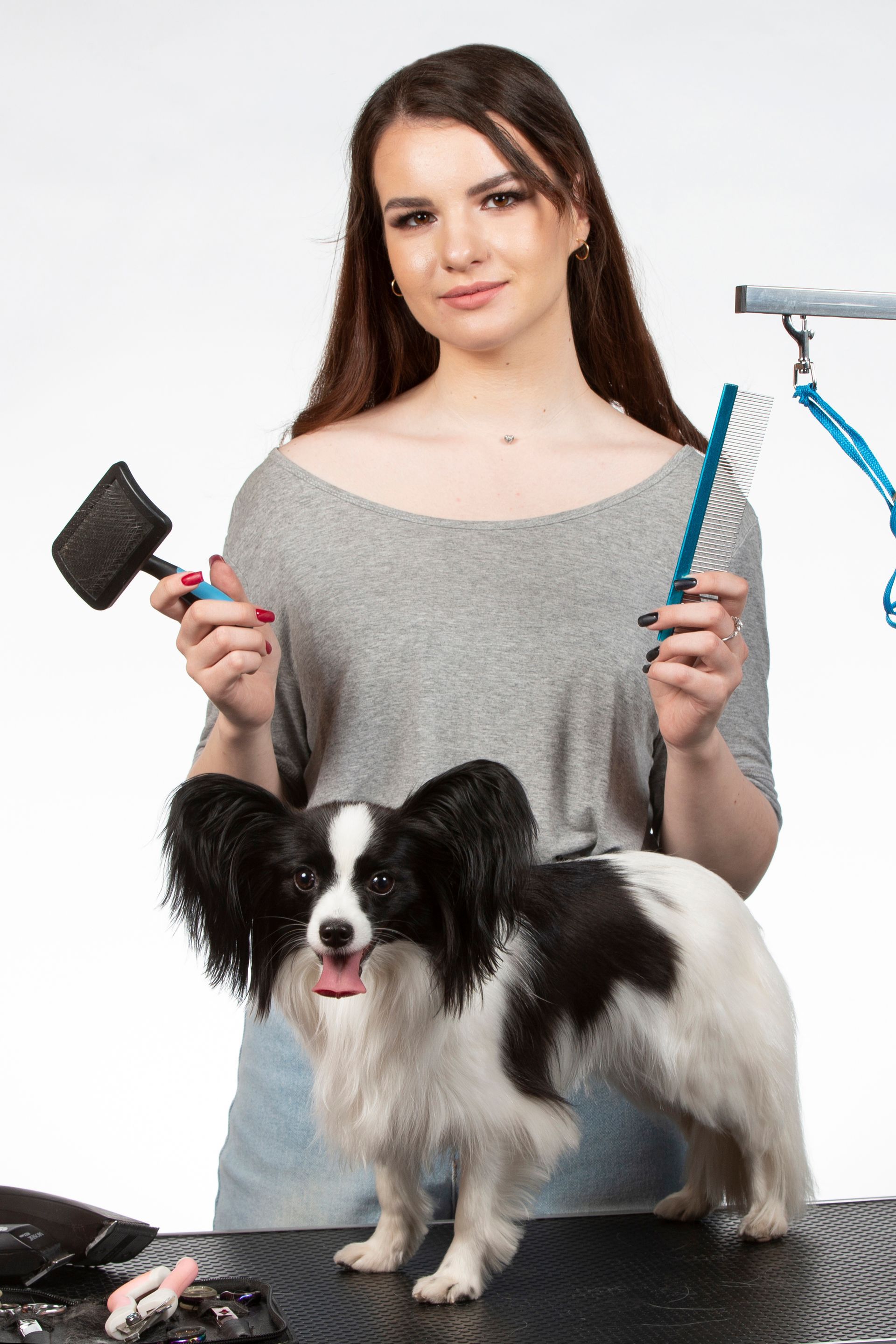 A woman is holding a brush and a comb next to a black and white dog.