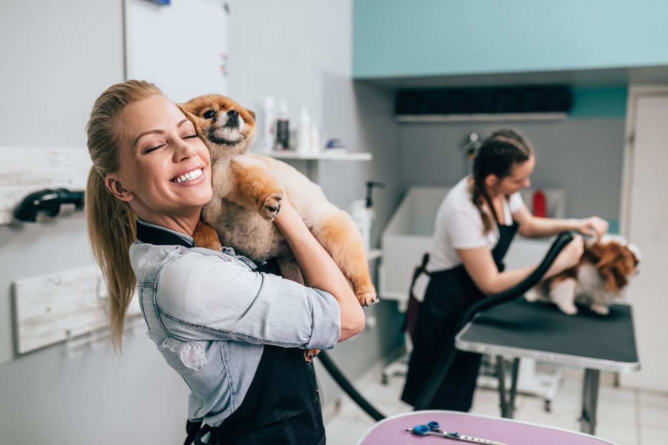 A woman is holding a small dog in her arms in a grooming salon.