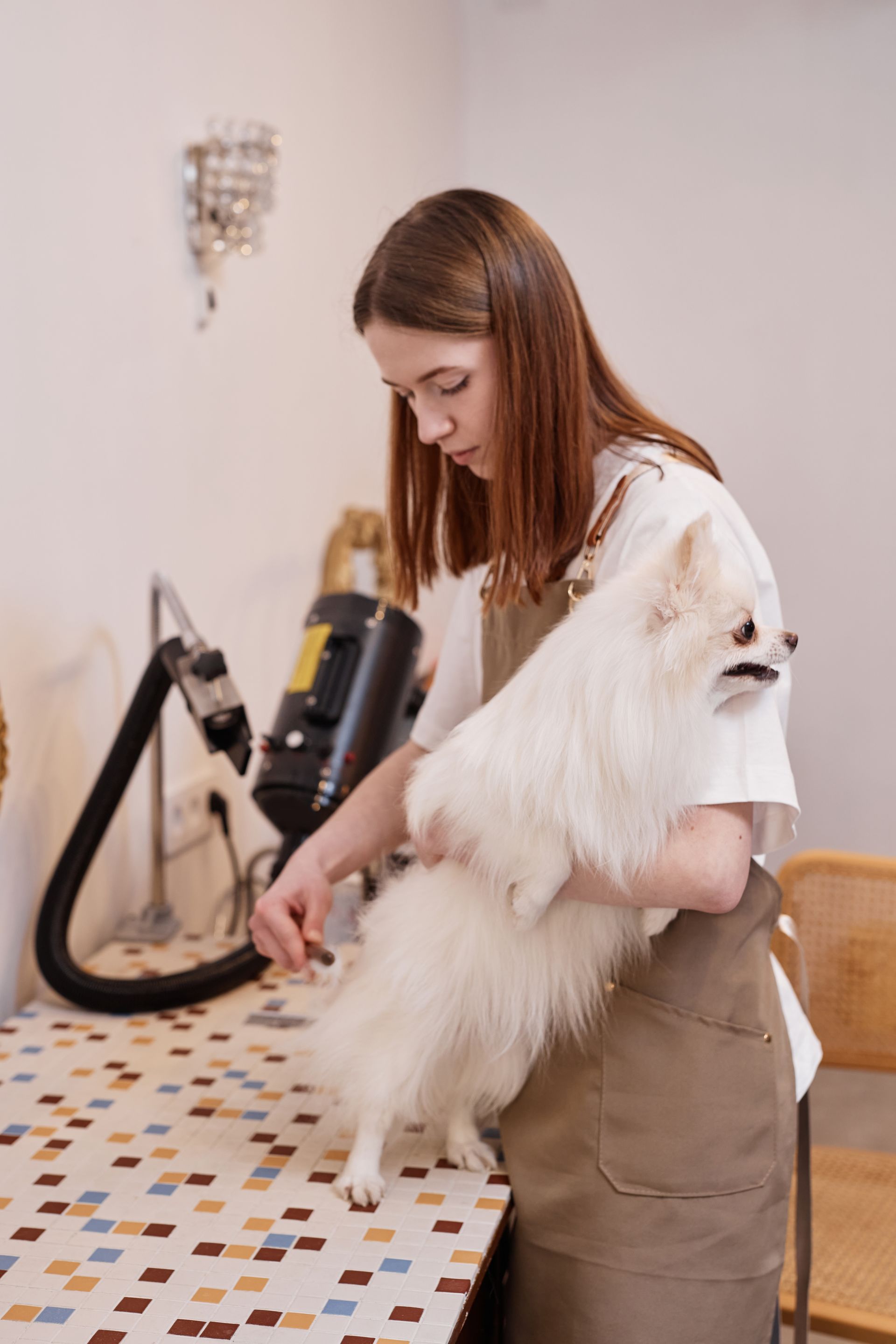 A woman is grooming a white dog on a table.