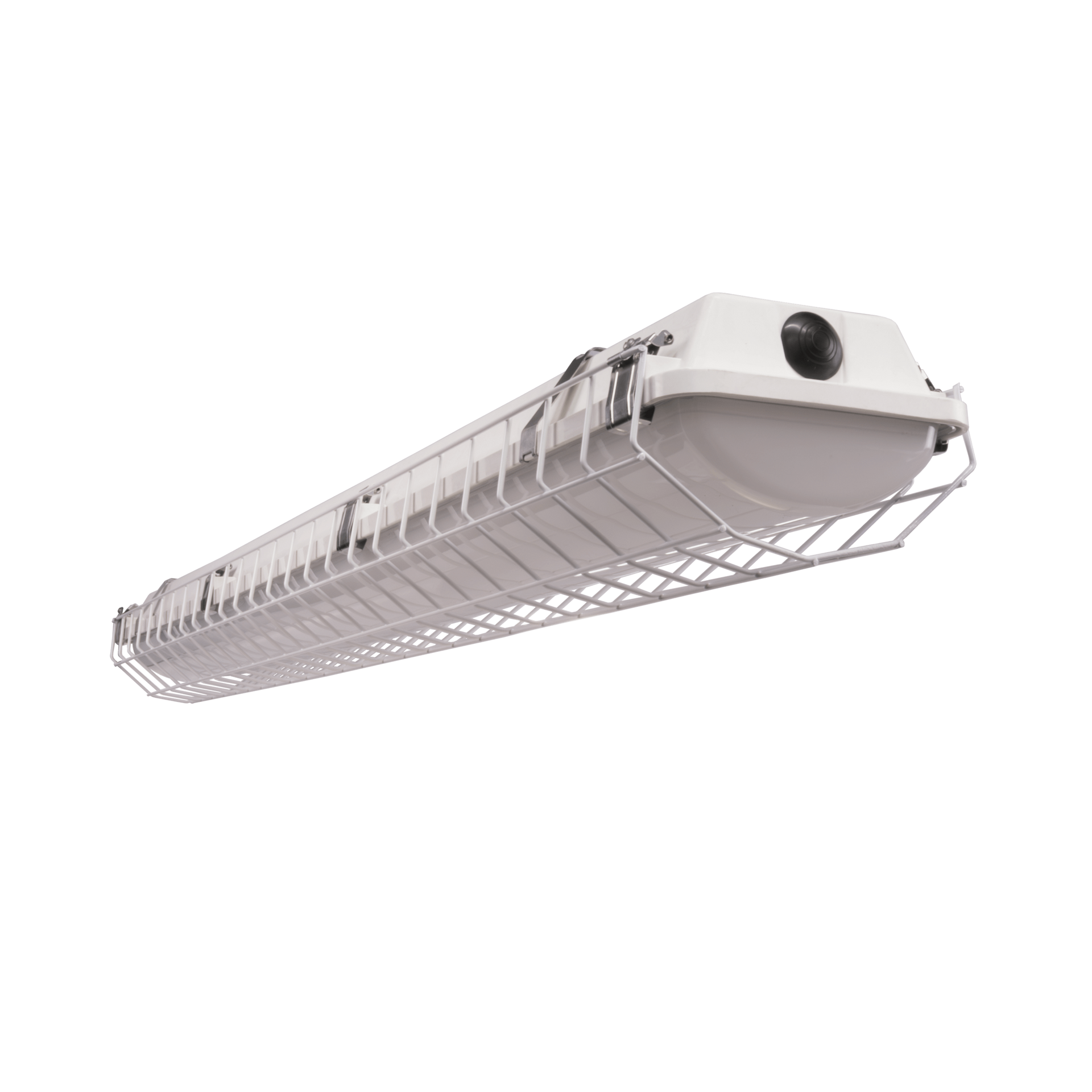 Citadel 2 Steel White Wire Guard