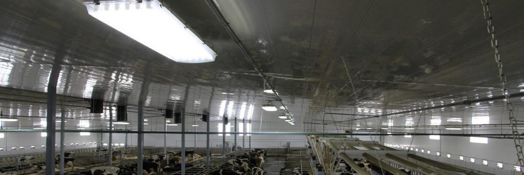 A blurred image of a factory with a lot of lights on the ceiling.