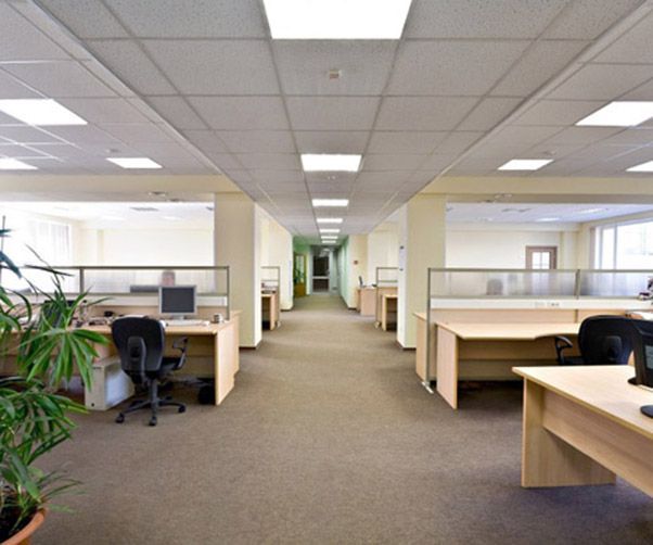 A row of cubicles in an office with a plant in the middle