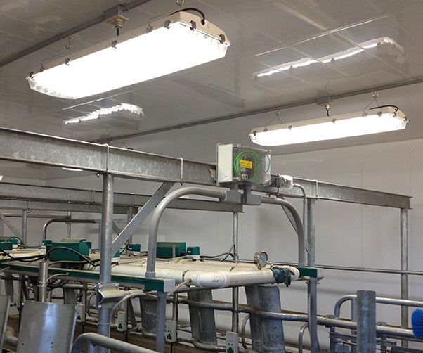 A room with a lot of lights hanging from the ceiling