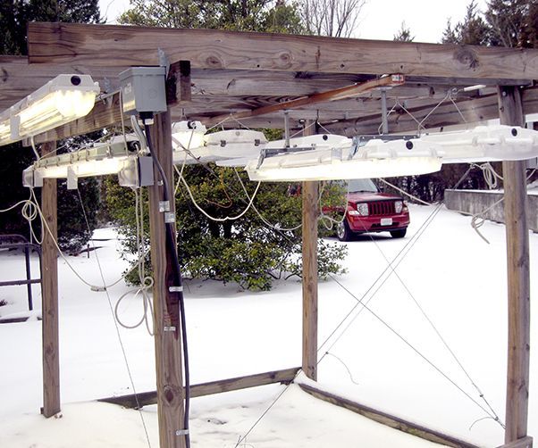 A red car is parked under a wooden structure in the snow