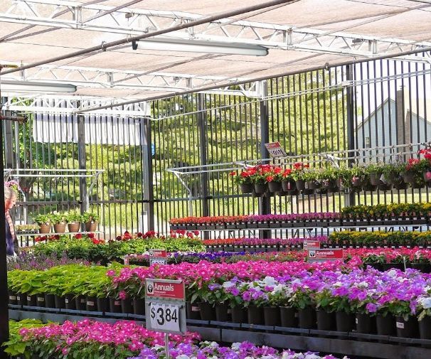 A greenhouse filled with lots of flowers and plants for sale
