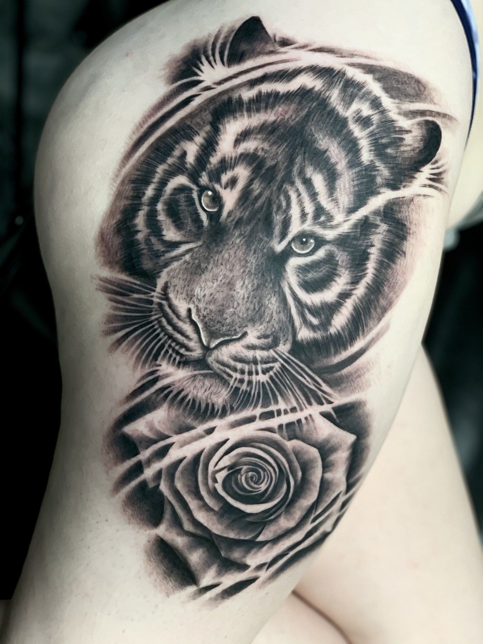 Cover Up Tattoo of Black and Grey Tiger over a Rose