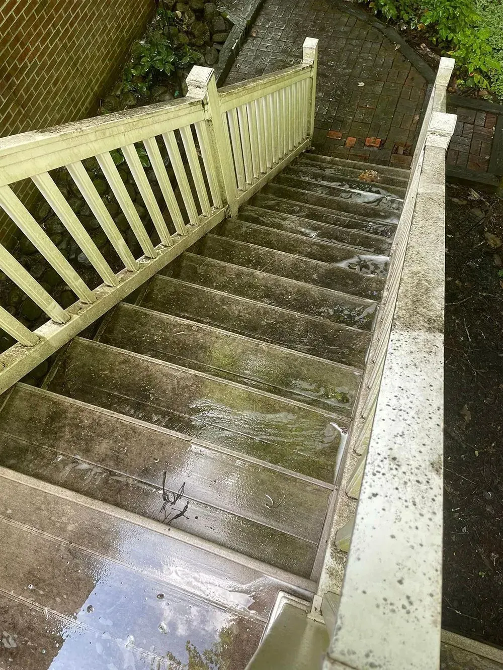 A high-angle view of wet, weathered stone outdoor stairs with a white wooden railing leading down to a garden path.