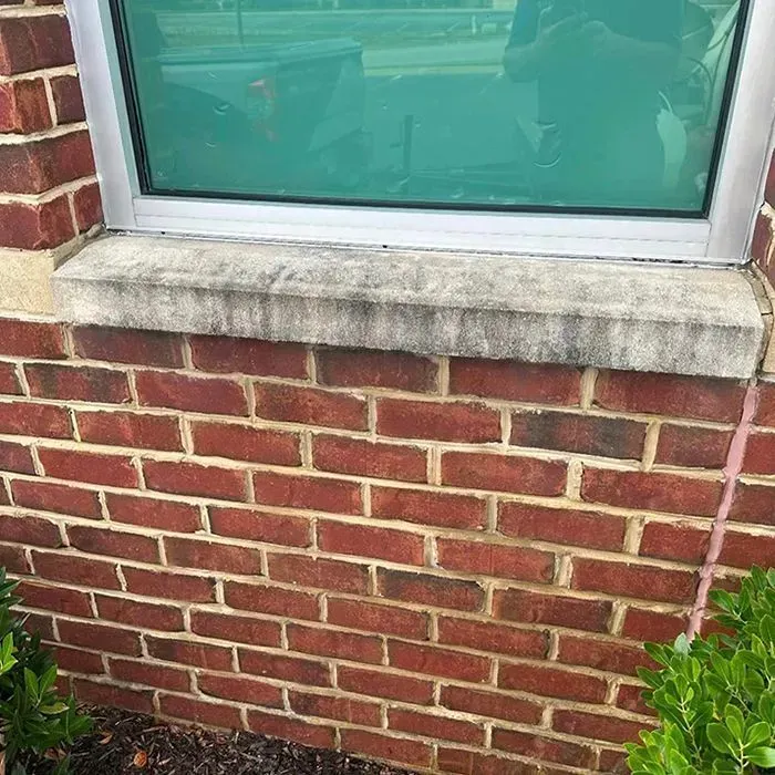 A green-tinted window above a weathered concrete sill and a red brick wall, with a small bush visible at the base.