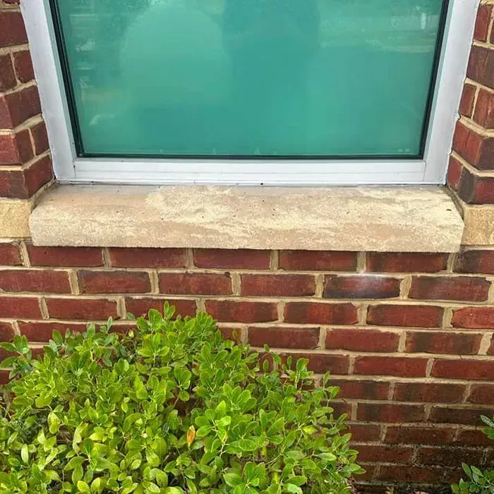 A brick building exterior with a window featuring a light stone sill above a green shrub.