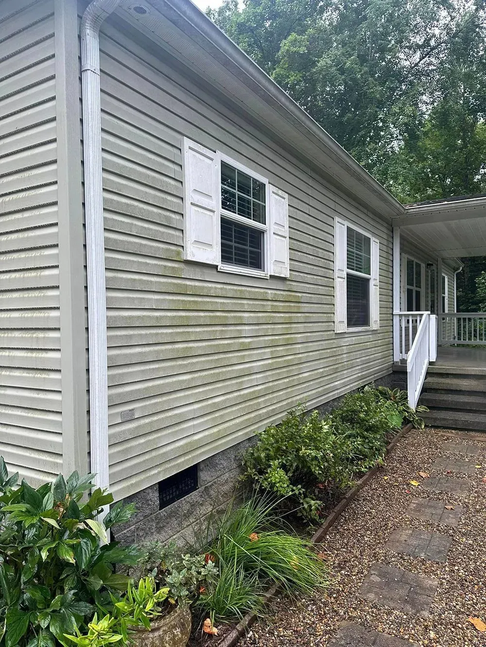 The exterior side of a tan vinyl-sided home with white shutters, windows, and a porch, showing signs of green mold.