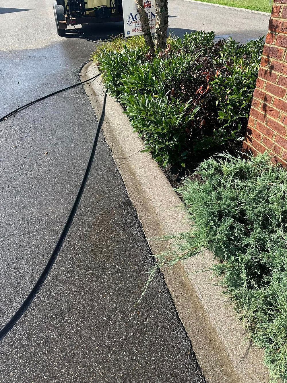 A black hose lies across an asphalt driveway near a stone curb and green landscaping bushes next to a brick wall.