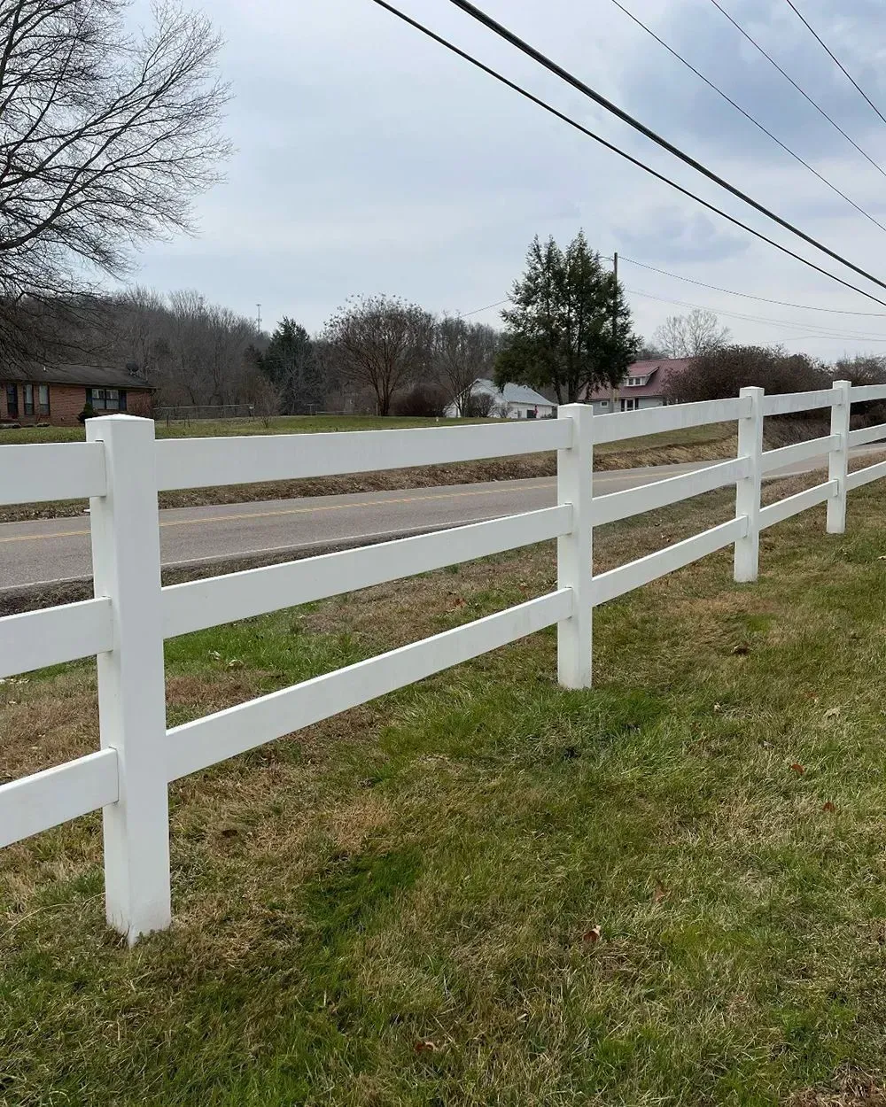 A white, three-rail fence runs along a grassy roadside with trees and buildings in the background.