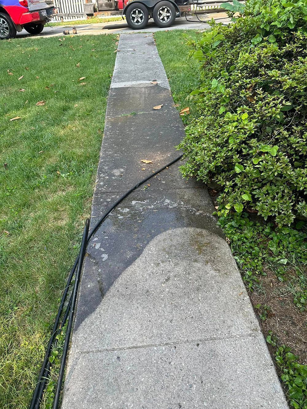 A concrete sidewalk shows a stark contrast between a dark, weathered section and a lighter, pressure-washed area.