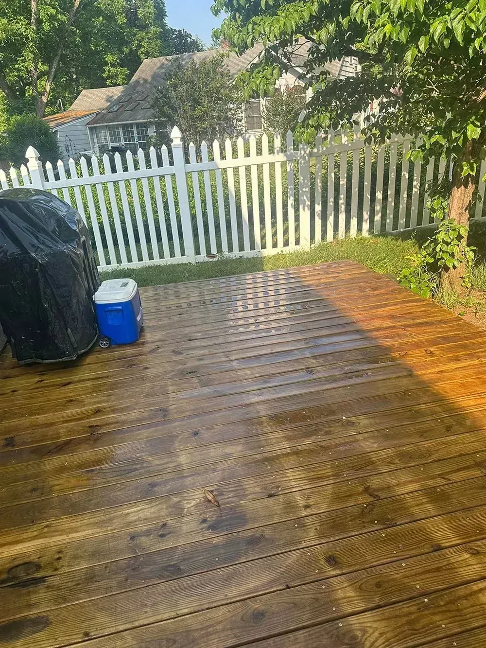 A damp wooden deck in a backyard with a white picket fence, a black grill cover, and a blue cooler.