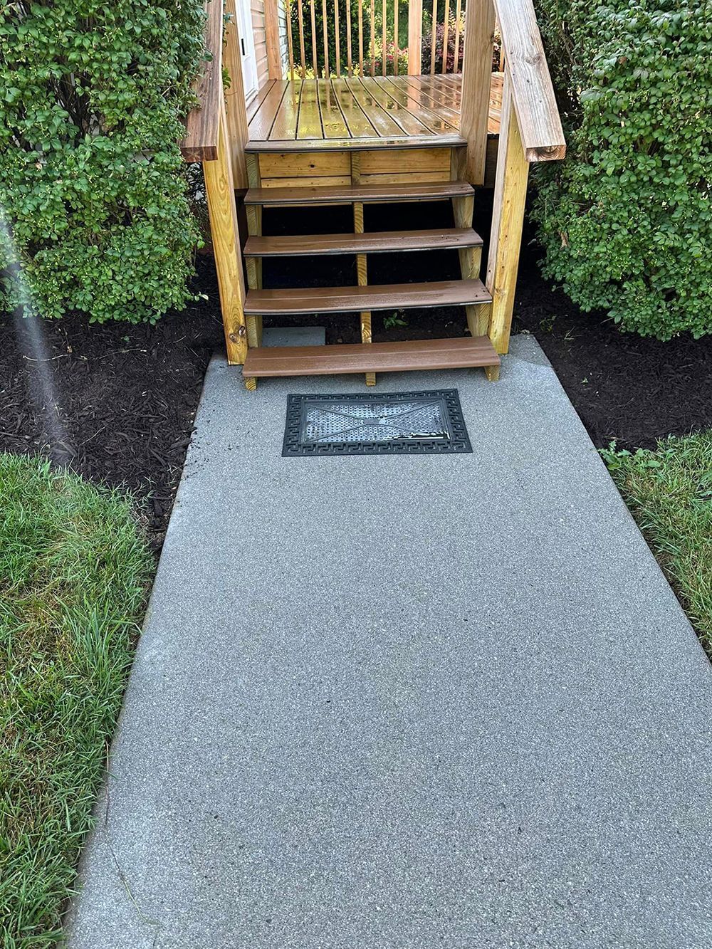 A concrete walkway leading to wooden stairs with railings, flanked by green bushes and dark mulch.