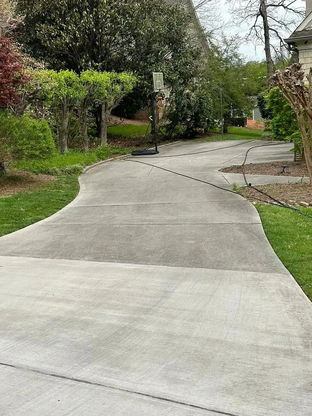 A paved, winding driveway leads up to a residential house, framed by green trees, bushes, and a basketball hoop.