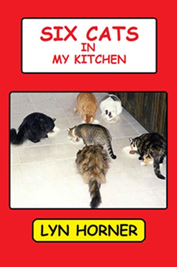 Six Cats in My Kitchen Six Cats in My Kitchen
