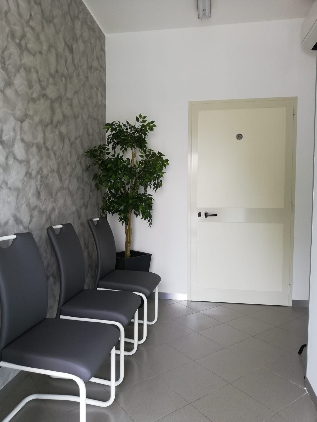 Una sala d'attesa con una fila di sedie e una pianta