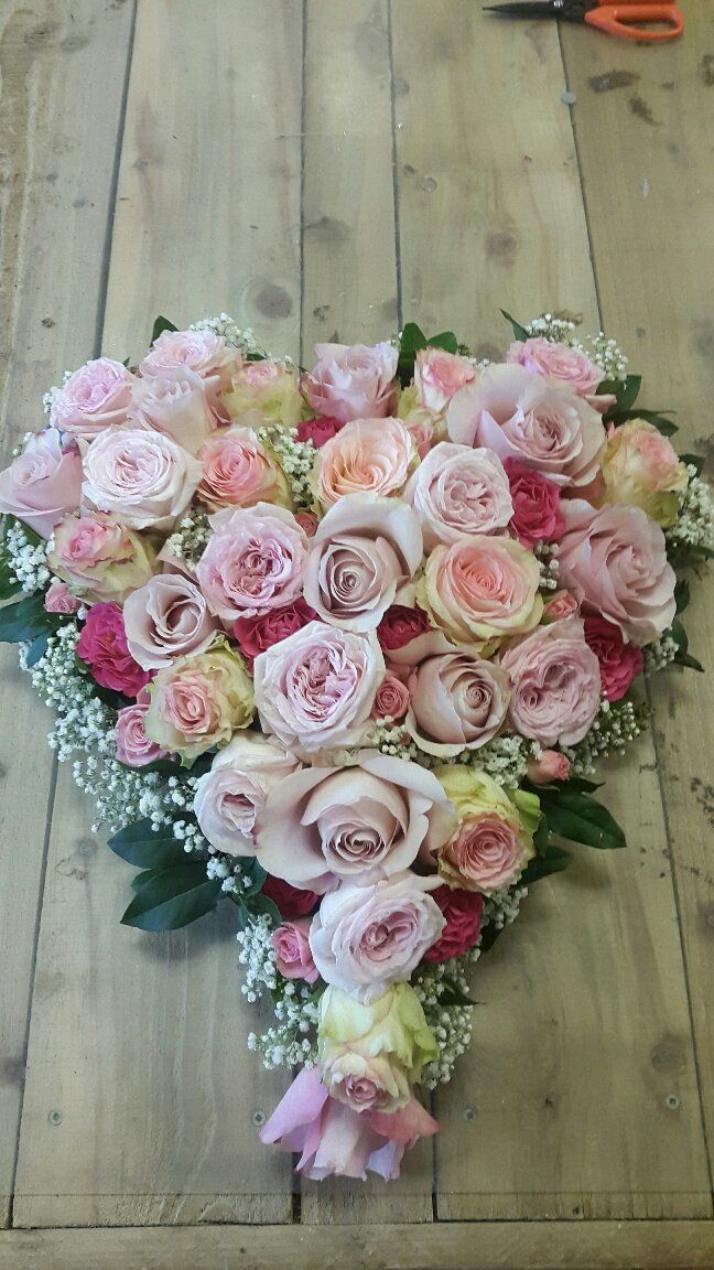different shades of pink roses