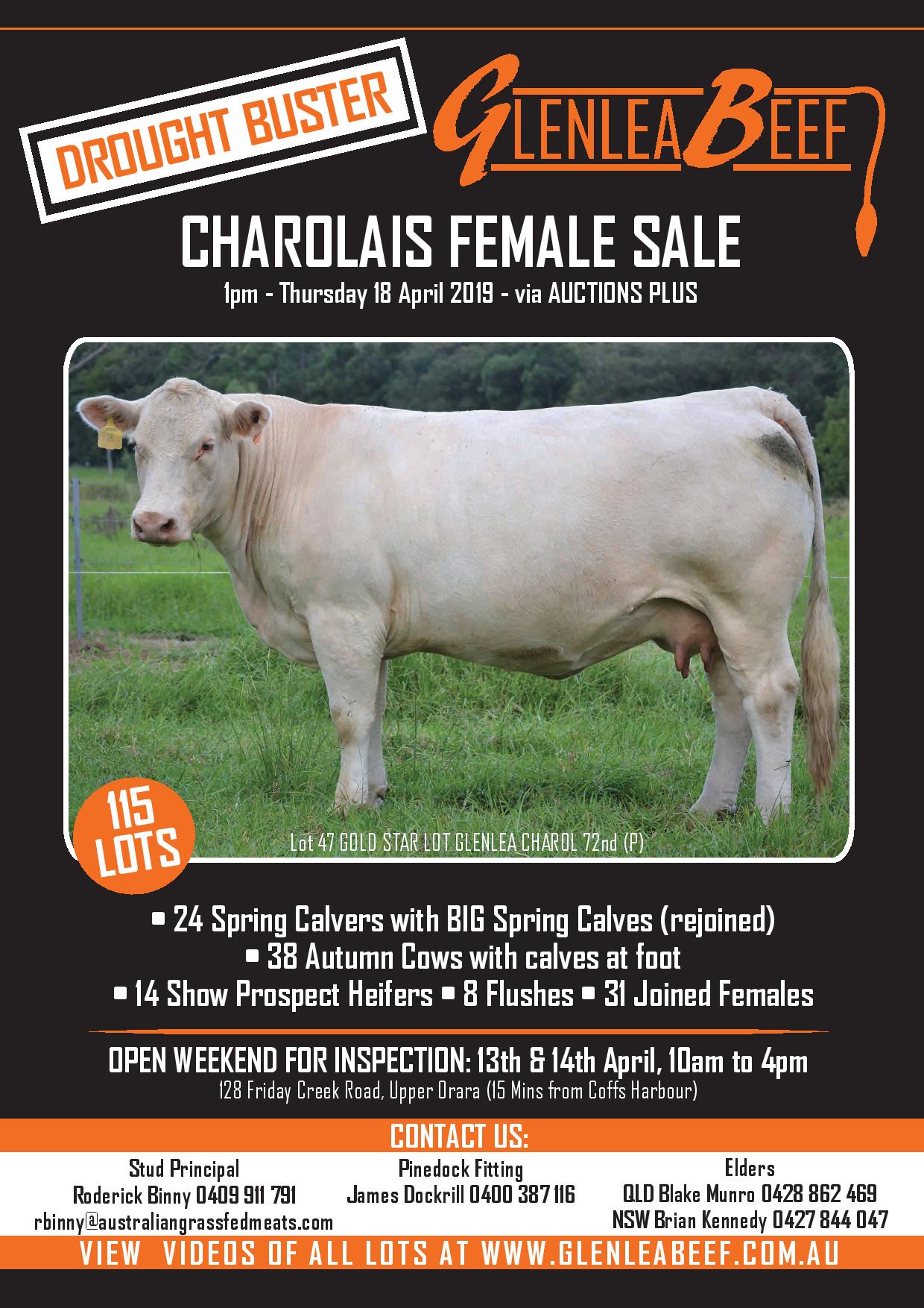 female sale cover